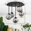 Chehalis ceiling light, globe light Smoke-coloured, 5-light sources