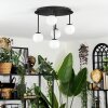 Chehalis ceiling light, globe light white, 5-light sources