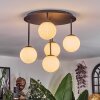 Chehalis ceiling light, globe light white, 5-light sources