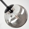 Chehalis ceiling light, globe light Smoke-coloured, 5-light sources