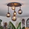 Chehalis ceiling light, globe light Smoke-coloured, 5-light sources
