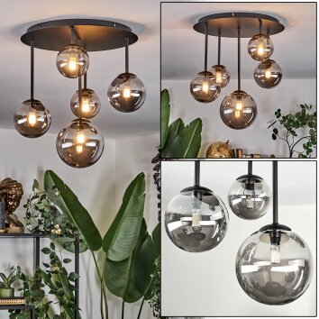 Chehalis ceiling light, globe light Smoke-coloured, 5-light sources