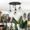 Chehalis ceiling light, globe light clear, Smoke-coloured, 5-light sources