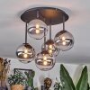 Chehalis ceiling light, globe light clear, Smoke-coloured, 5-light sources