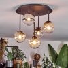 Chehalis ceiling light, globe light Amber, clear, Smoke-coloured, 5-light sources