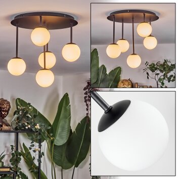 Chehalis ceiling light, globe light white, 5-light sources