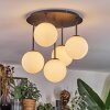 Chehalis ceiling light, globe light white, 5-light sources
