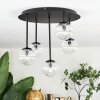 Chehalis ceiling light, globe light clear, 5-light sources