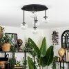 Chehalis ceiling light, globe light clear, 5-light sources