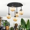 Chehalis ceiling light, globe light Amber, 5-light sources