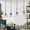 Ripoll hanging light, globe light, pendant light clear, 4-light sources