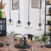 Ripoll hanging light, globe light, pendant light clear, 4-light sources