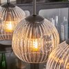 Ripoll hanging light, globe light, pendant light clear, 4-light sources