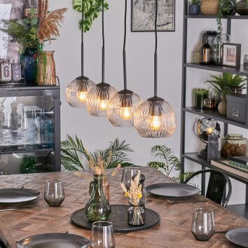 Ripoll hanging light, globe light, pendant light clear, 4-light sources