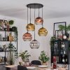 Koyoto hanging light, globe light, Cluster pendant lamp chrome, gold, clear, coppery, Smoke-coloured, 5-light sources