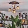 Chehalis ceiling light, globe light Amber, clear, Smoke-coloured, 5-light sources