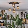 Chehalis ceiling light, globe light 39.5 cm Amber, Smoke-coloured, 5-light sources