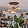 Chehalis ceiling light, globe light Amber, clear, Smoke-coloured, 5-light sources