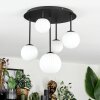 Chehalis ceiling light, globe light white, 5-light sources