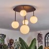Chehalis ceiling light, globe light white, 5-light sources
