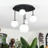 Chehalis ceiling light, globe light white, 5-light sources