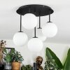 Chehalis ceiling light, globe light white, 5-light sources