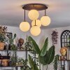 Chehalis ceiling light, globe light white, 5-light sources