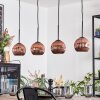 Ripoll hanging light, globe light, pendant light coppery, 4-light sources