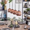 Ripoll hanging light, globe light, pendant light coppery, 4-light sources