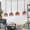 Ripoll hanging light, globe light, pendant light clear, coppery, 4-light sources
