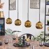 Ripoll hanging light, globe light, pendant light gold, 4-light sources