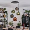 Ripoll hanging light, globe light, Cluster pendant lamp blue, green, coppery, 5-light sources