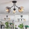 Ripoll ceiling light, globe light Amber, clear, Smoke-coloured, 3-light sources