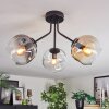 Ripoll ceiling light, globe light Amber, clear, Smoke-coloured, 3-light sources