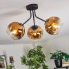 Ripoll ceiling light, globe light gold, clear, 3-light sources