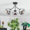 Ripoll ceiling light, globe light chrome, clear, Smoke-coloured, 3-light sources