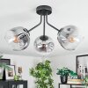 Ripoll ceiling light, globe light clear, Smoke-coloured, 3-light sources