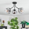 Ripoll ceiling light, globe light clear, Smoke-coloured, 3-light sources