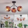 Ripoll ceiling light, globe light clear, coppery, 3-light sources