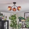 Ripoll ceiling light, globe light clear, coppery, 3-light sources