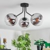 Gastor ceiling light, globe light chrome, clear, Smoke-coloured, 3-light sources