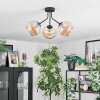 Koyoto ceiling light, globe light Amber, 3-light sources