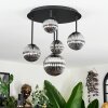 Chehalis ceiling light, globe light Smoke-coloured, 5-light sources