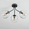 Ripoll ceiling light, globe light clear, 3-light sources