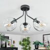 Ripoll ceiling light, globe light clear, 3-light sources