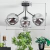 Ripoll ceiling light, globe light Smoke-coloured, 3-light sources
