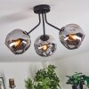 Ripoll ceiling light, globe light Smoke-coloured, 3-light sources