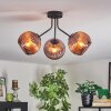 Koyoto ceiling light, globe light coppery, 3-light sources