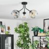 Ripoll ceiling light, globe light Amber, clear, Smoke-coloured, 3-light sources