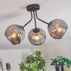 Ripoll ceiling light, globe light Smoke-coloured, 3-light sources